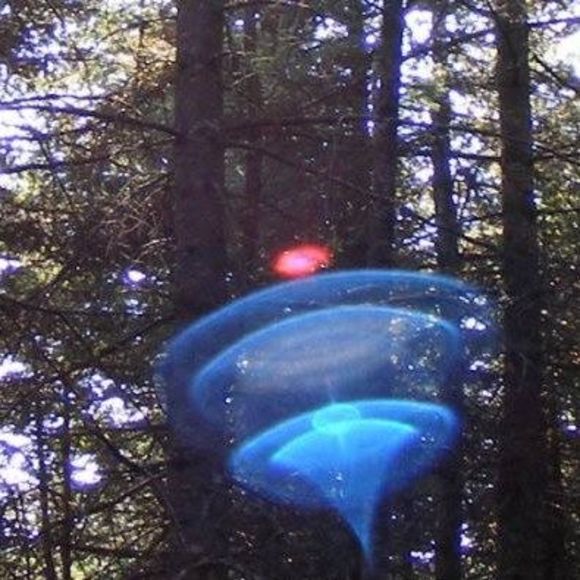 Meet your Posher, Julia - Picture 2 of 2